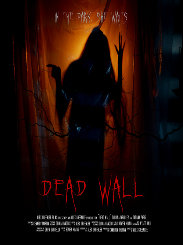 Dead Wall poster